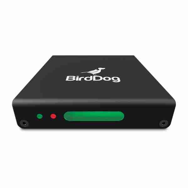 BirdDog Mini VESA Mount