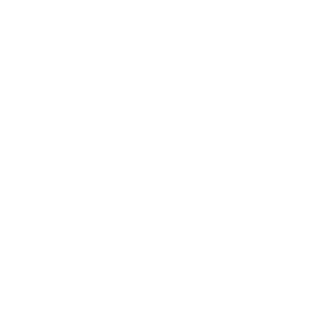 LOGO_IndiPro_Bco